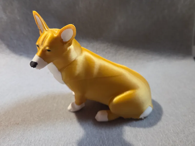 Corgi (welsh Pembroke)