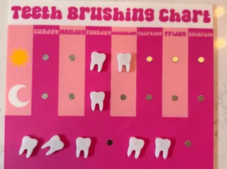 Teeth Brushing Chart Magnetic