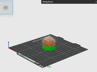 Sea urchin