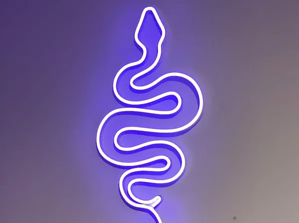 https://makerworld.bblmw.com/makerworld/model/USa93ea5c00a5b12/design/2025-01-06_006e9ff95f6b1.jpg