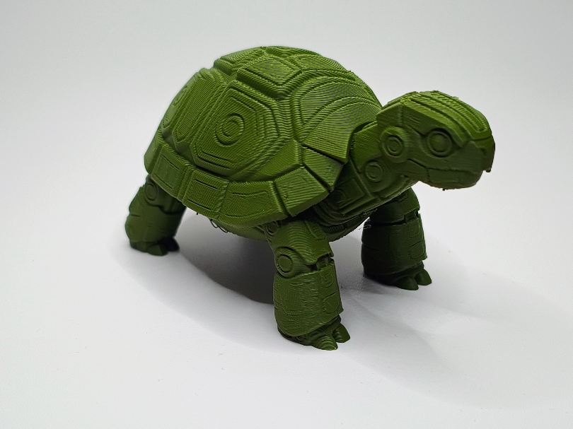 Schildkroete "Panzerpfote" mit Abenteuerblick