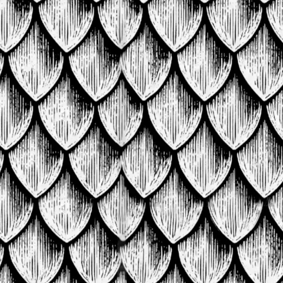 Texture Roller V384 | Scales view 3