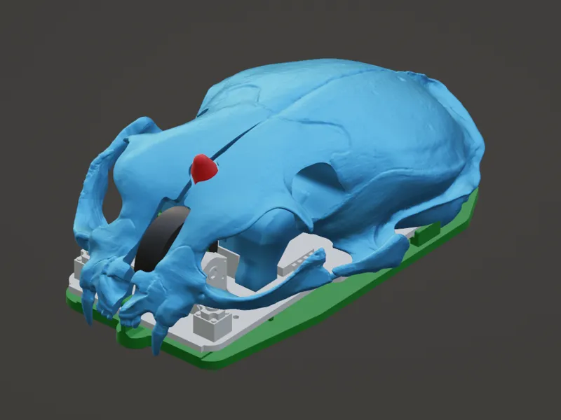 Cat Skull Wireless Mouse 拓竹猫头骨鼠标 v 1.0
