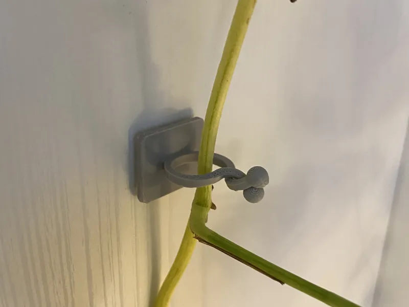 Plant Wall Climbing Vine Clips