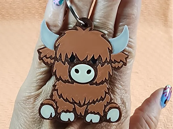 https://makerworld.bblmw.com/makerworld/model/USa94d0238cd05e9/design/cd5e1ba17795c8d1.jpg