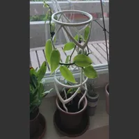 Tuteur empilable pour plante grimpante — photo 6