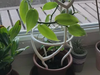 stackable plant guider/trellis