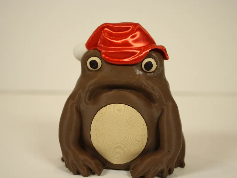 Sad Frog with Christmas hat