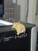 monitor hamster single color