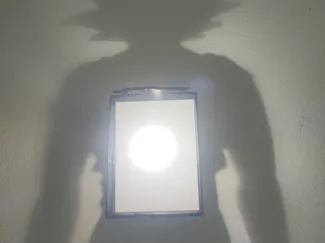 Shadow lamp Goku