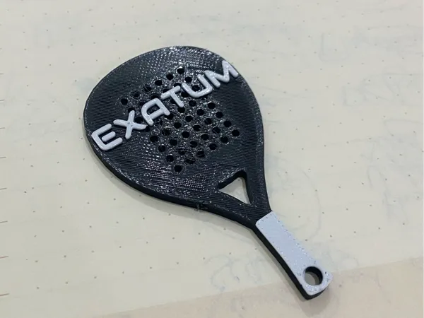 https://makerworld.bblmw.com/makerworld/model/USa95492149ad857/design/2025-03-20_bd05324f12691.jpg