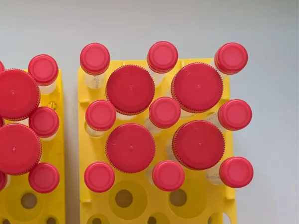 https://makerworld.bblmw.com/makerworld/model/USa95690f6bb217b/design/2025-05-19_226067438ffa9.webp