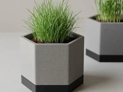 Minimalist Hexagonal Cat Grass Planter