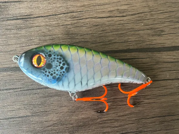 https://makerworld.bblmw.com/makerworld/model/USa95eea070c747/design/2025-09-21_e9862c4b81a8d.jpeg