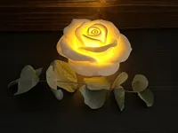 Rose lumineuse — lithophanie — photo 2