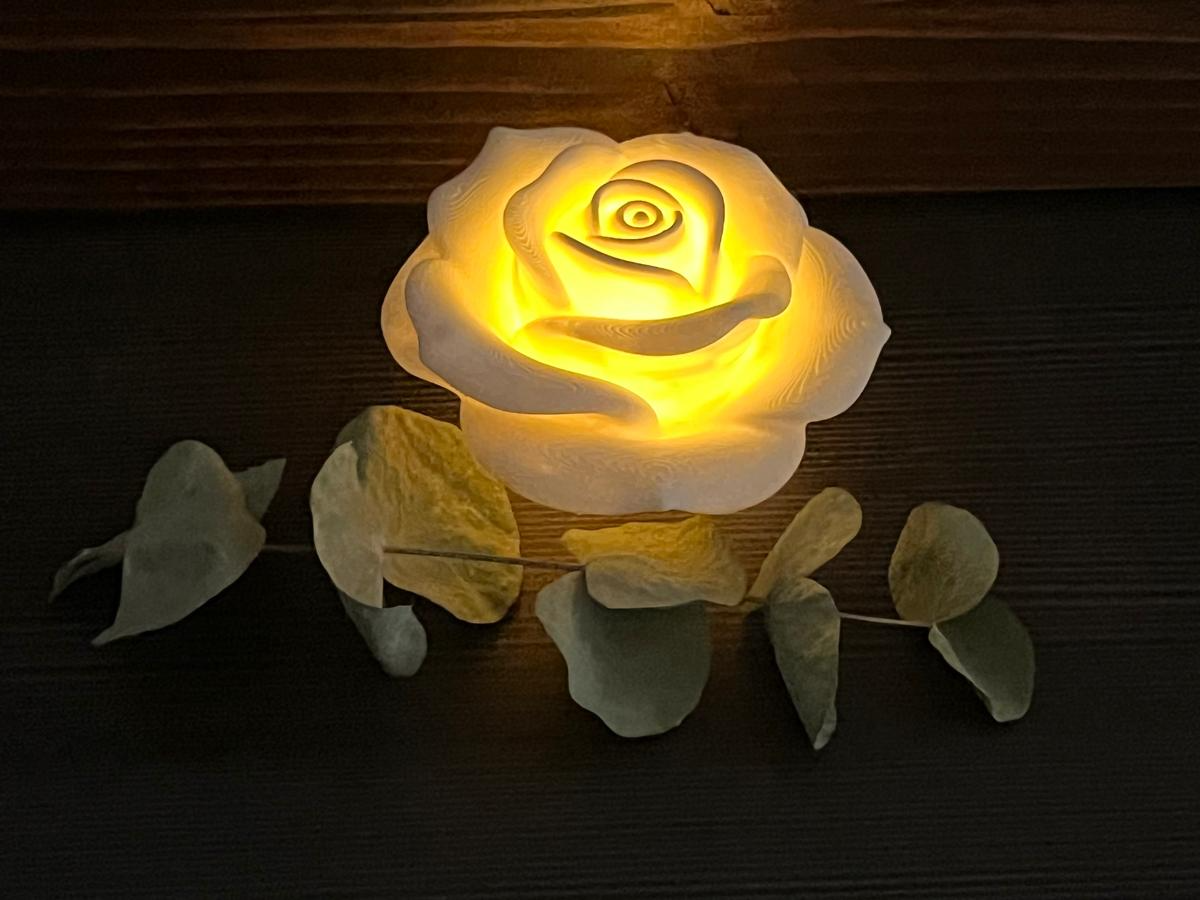 Glowing Rose