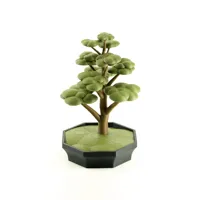 basic bonsai