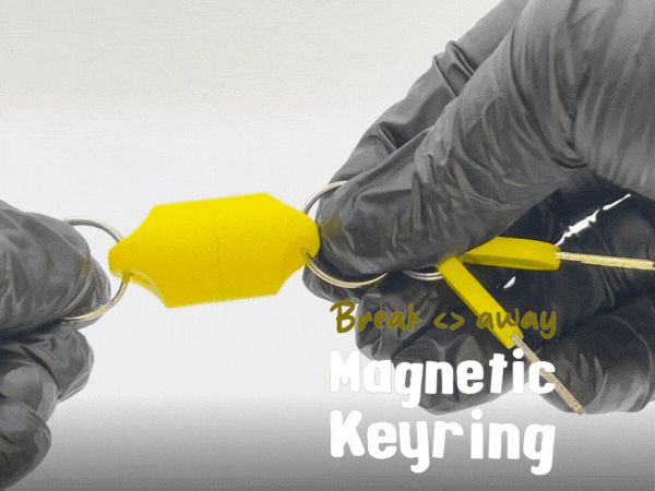 https://makerworld.bblmw.com/makerworld/model/USa9608ea7ad3200/design/2024-10-02_6692a89afc8fa.gif