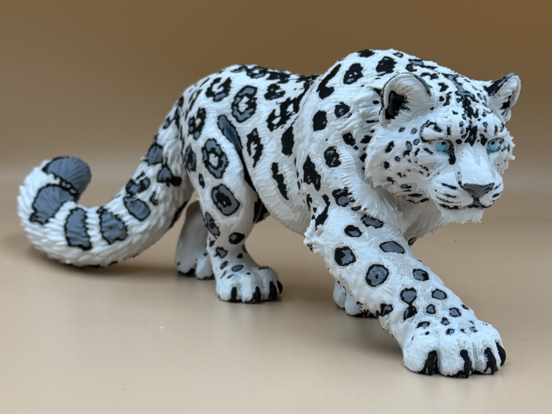 Snow Leopard – Silent Stalker - 1