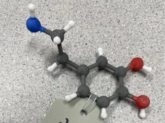 Dopamine. Accurate, from crystal structure data