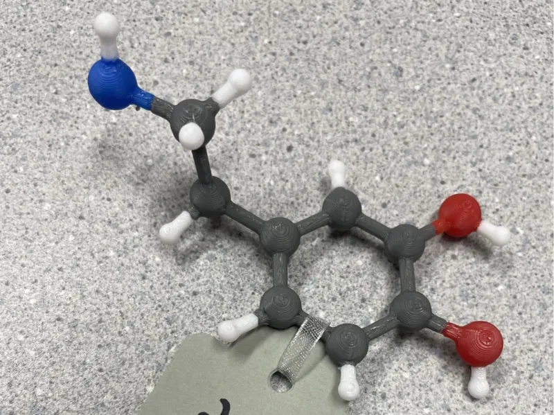 Dopamine. Accurate, from crystal structure data