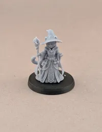 0.08mm layer, 2 walls, 15% infill
