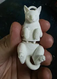 Clean - single color, pre-supported, 0.2mm layer