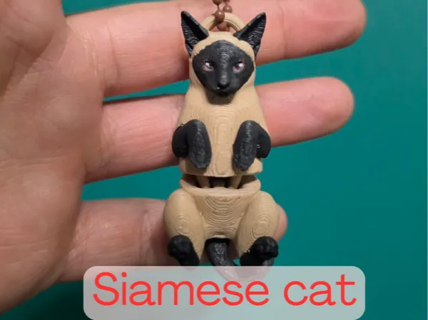 https://makerworld.bblmw.com/makerworld/model/USa96862e80d7e85/design/7339287e7556ce5d.png