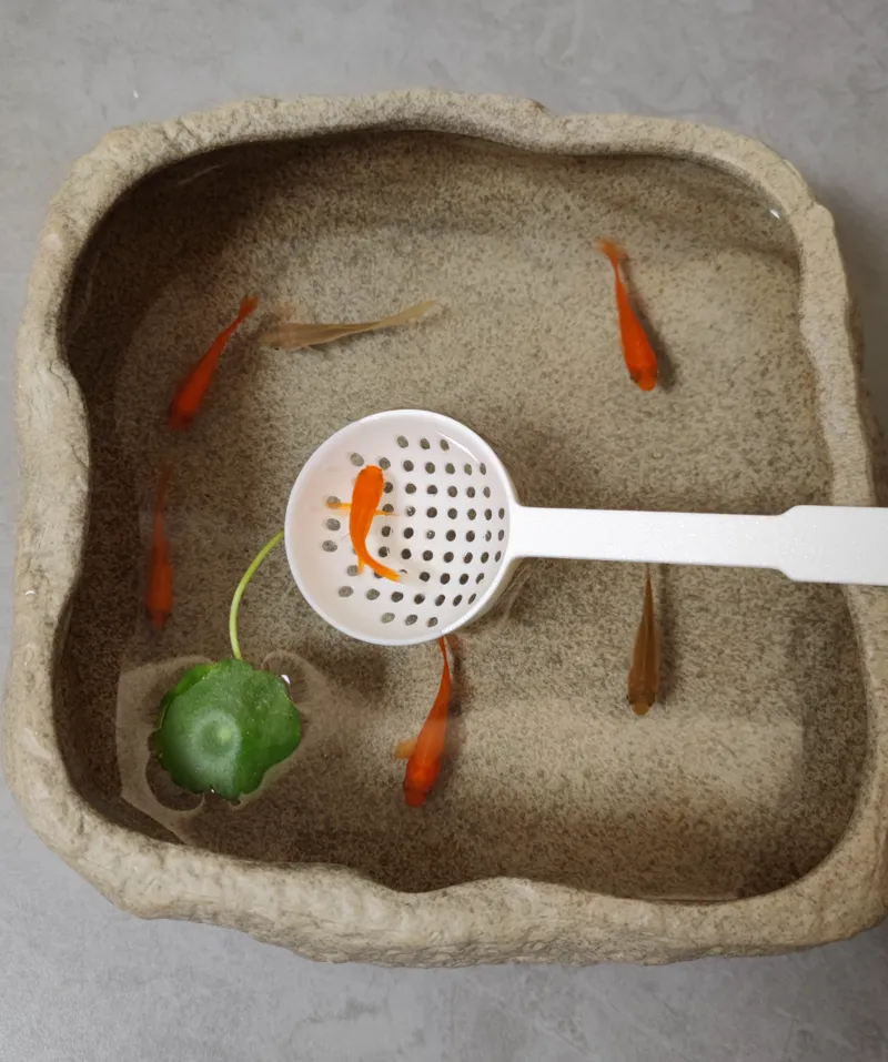 Slooted spoon 