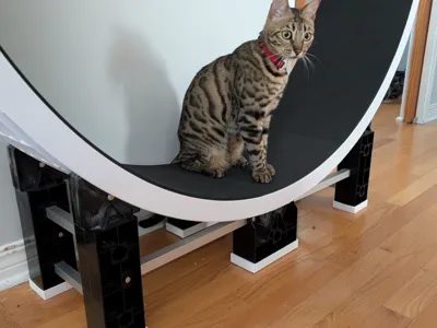 Ziggy Doo Ferris Cat Wheel G5 spacers/foot pads