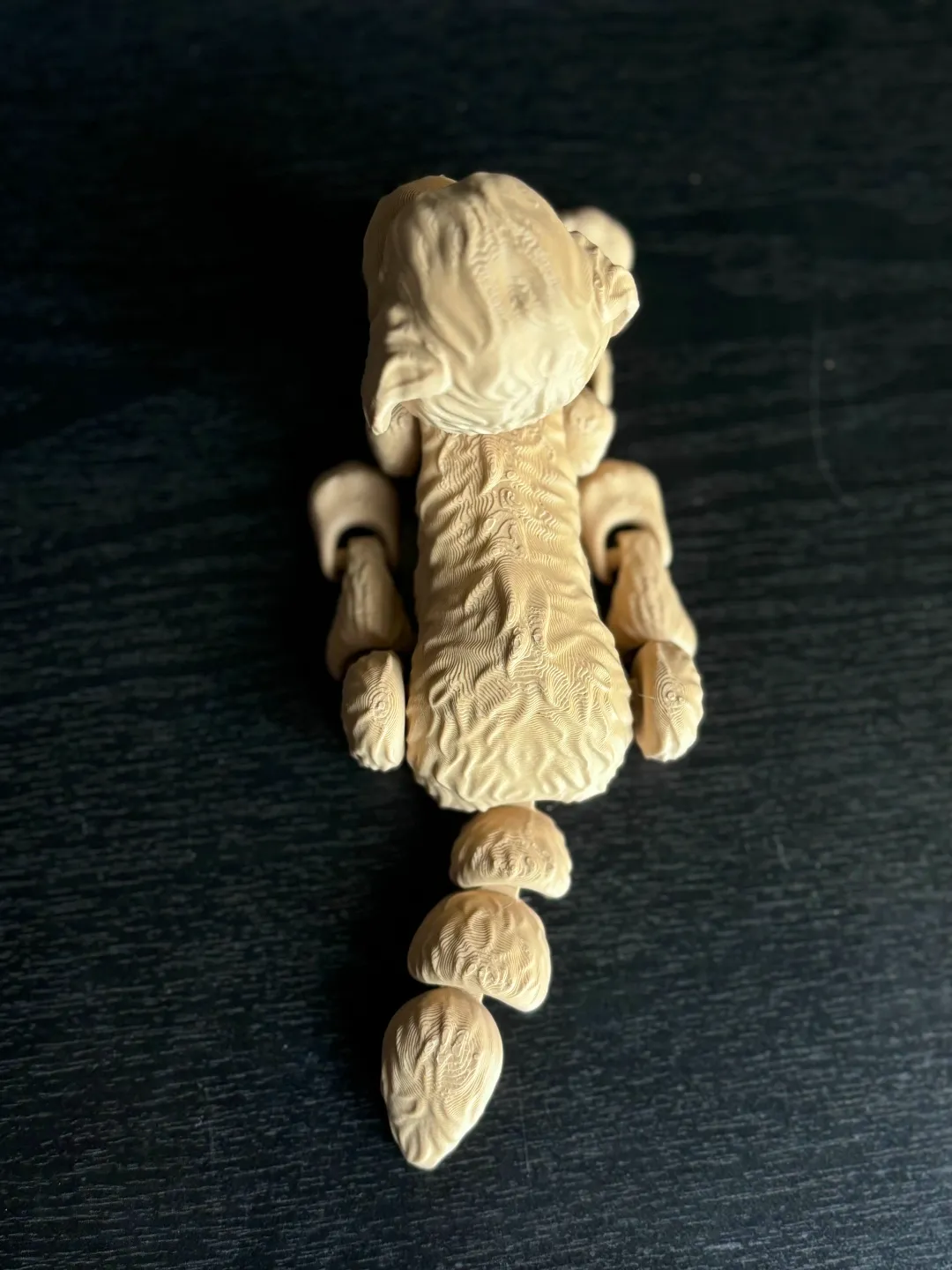 Standard Poodle Flexi Dog view 4