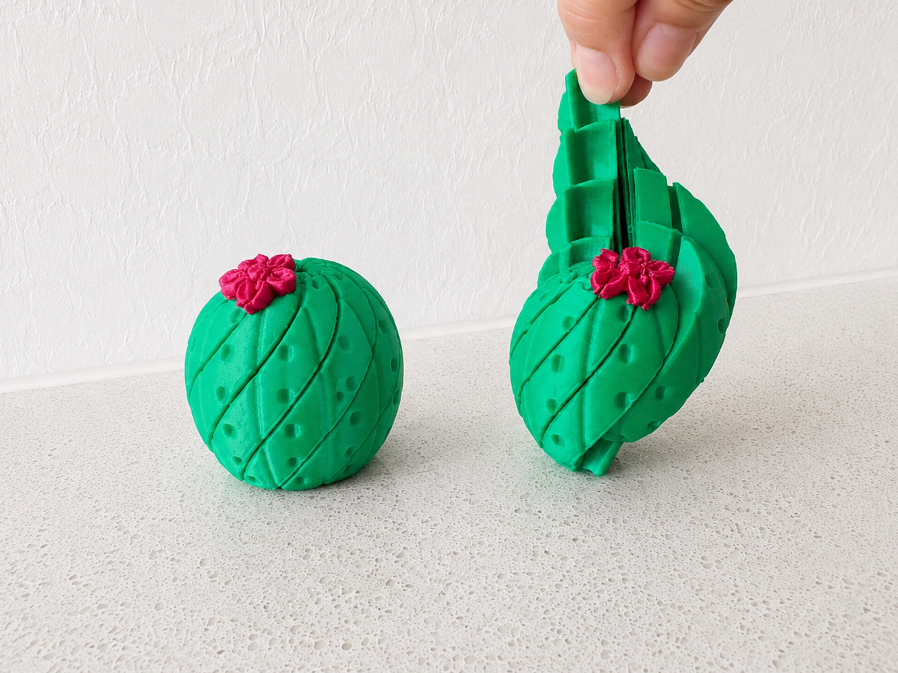 Cactus Twisty Fidget | Succulent Toy