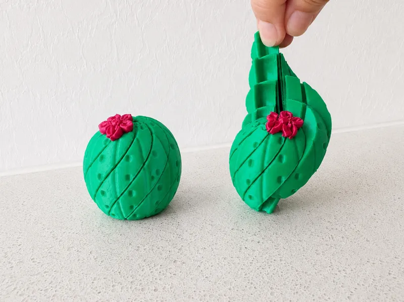 Cactus Twisty Fidget | Succulent Toy