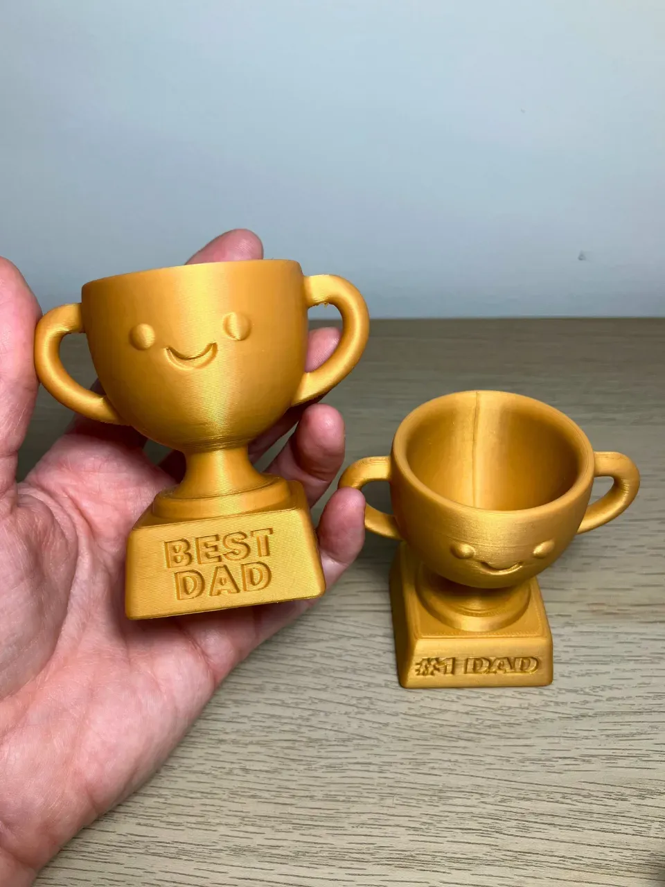 Award Trophy Collection view 2