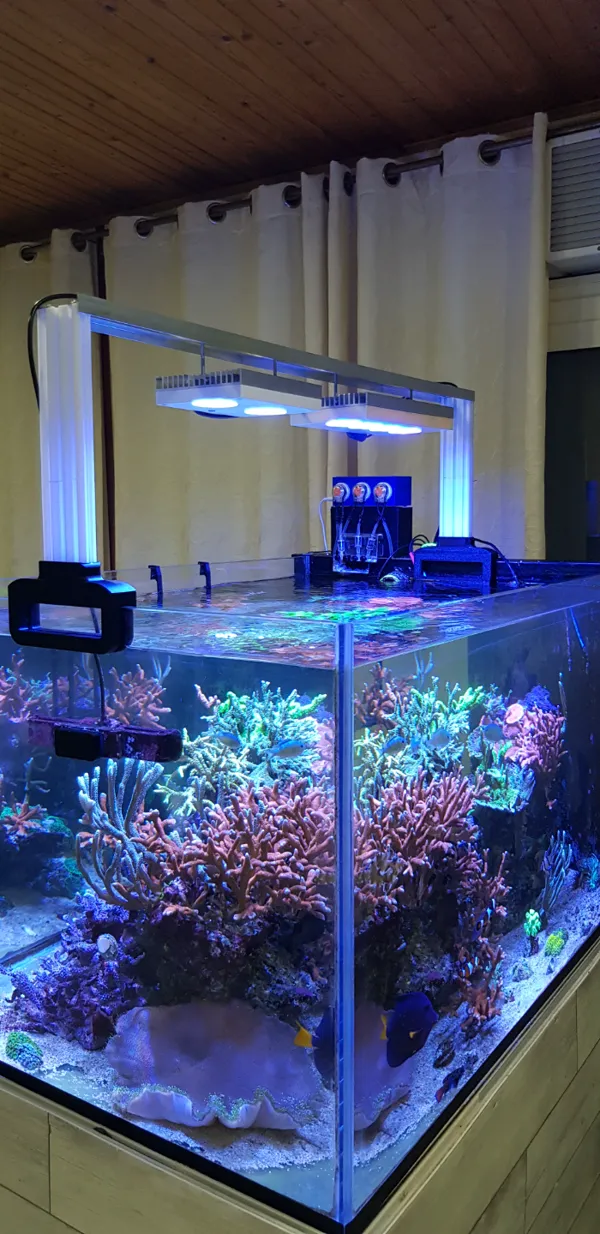 https://makerworld.bblmw.com/makerworld/model/USa97e99df7e5f1f/design/2024-01-15_dd512c10c1346.jpg