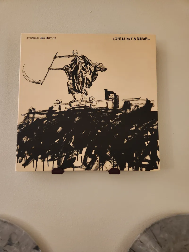 Record Cover Mount