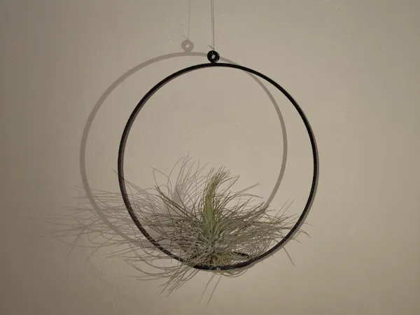 https://makerworld.bblmw.com/makerworld/model/USa981af2c85ddf8/design/a00304a078969bda.jpg