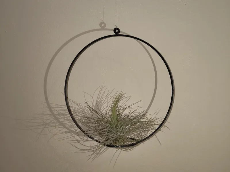 Maceta para planta de aire