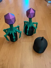 Socle pour le bactériophage T4 tout mignon — photo 2