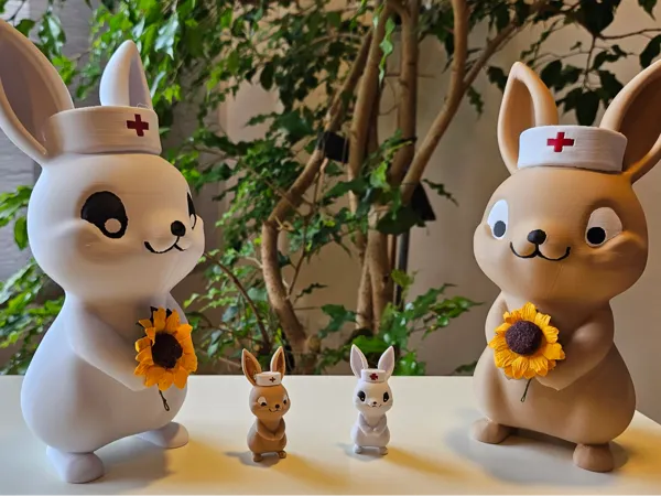 https://makerworld.bblmw.com/makerworld/model/USa98eb3b7920f98/design/2025-01-04_6721aa90da6398.jpg