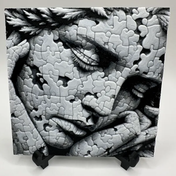 https://makerworld.bblmw.com/makerworld/model/USa98ec3b14e9971/design/2024-03-17_4e8c07b6cfa5d.jpg
