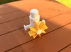 Windmill Module