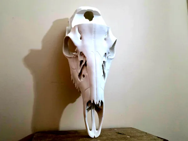 https://makerworld.bblmw.com/makerworld/model/USa991eeac109929/design/2025-12-21_6df469fa200e68.jpg