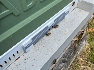 Abelo Bee Hive Entrance Reducer