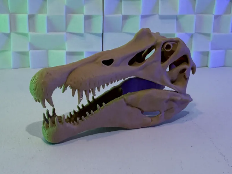 Spinosaurus Skull V3 (10-100 Grams)