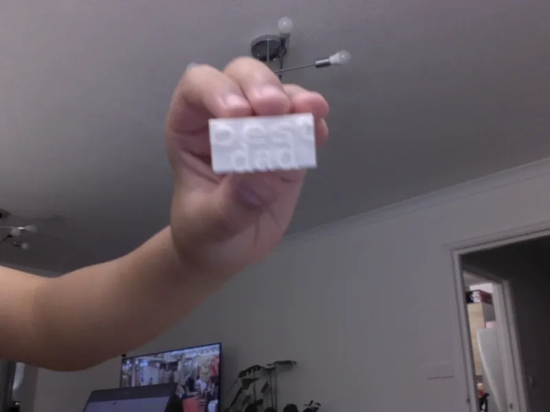 best dad brick