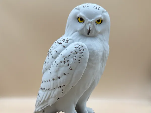 https://makerworld.bblmw.com/makerworld/model/USa9a0bfd9a3627c/design/d465a88c3e775cea.jpg