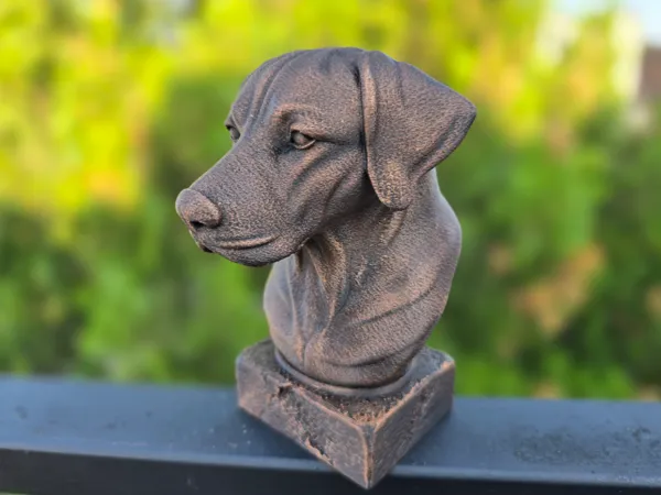 https://makerworld.bblmw.com/makerworld/model/USa9a15bee65e581/design/2025-06-03_046a94c995722.jpg