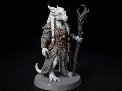 Dragonborn Druid Character  D&D Miniature 