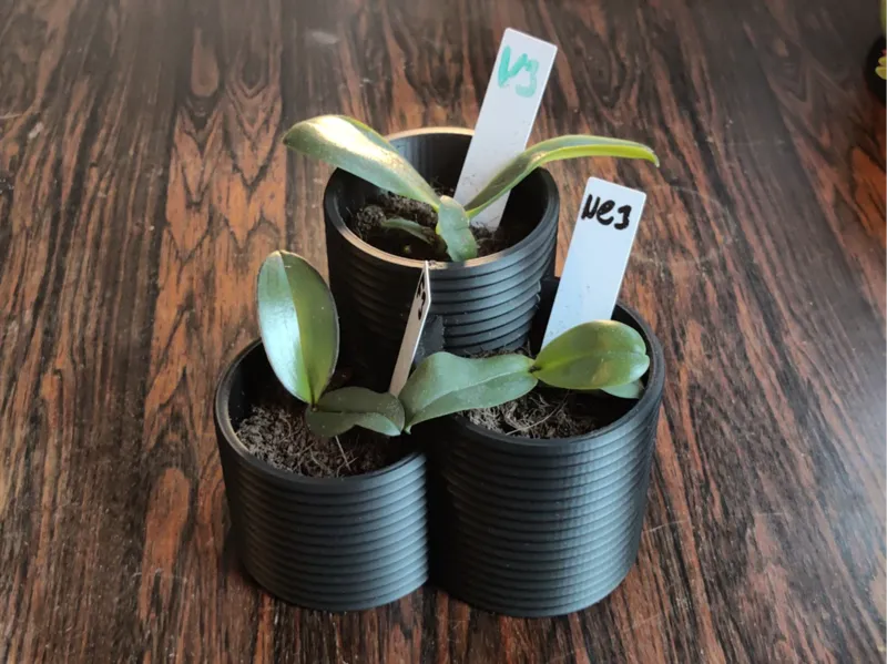 Simple Plant Pot - 3 Plants